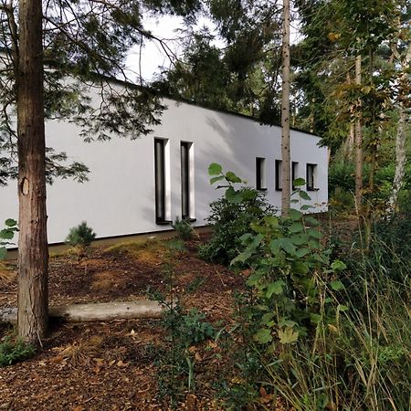 B&B Altijd Zomer Nijlen Exteriör bild