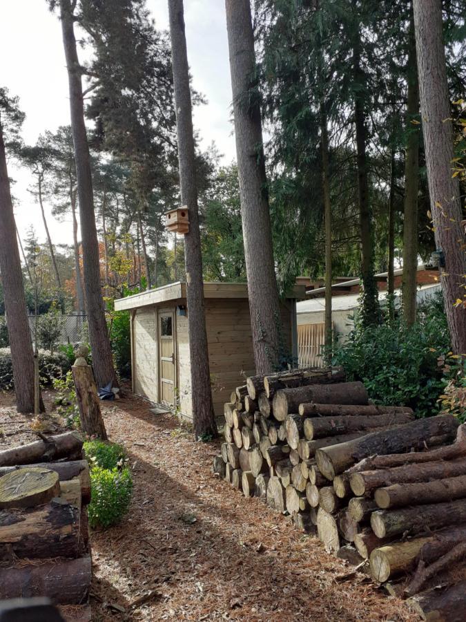 B&B Altijd Zomer Nijlen Exteriör bild